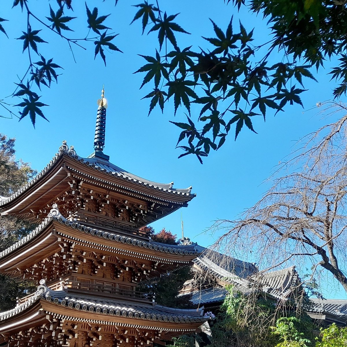 ⛩️ 큰 폭포 부동명왕 금장사 (오타키 후도손 콘조지) 이미지 6